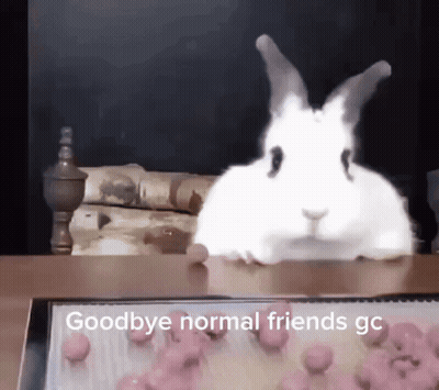A White Rabbit Is Sitting On A Table With The Words Goodbye Normal Friends Gc Written Below It GIF