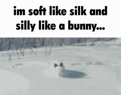 A White Rabbit Is Walking Through The Snow With The Words `` Im Soft Like Silk And Silly Like A Bunny ... '' . GIF