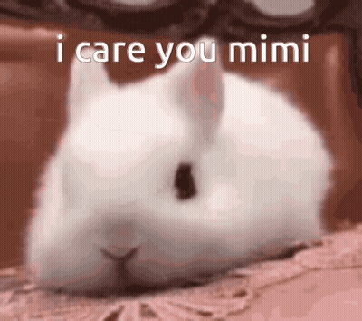 A White Rabbit Laying On A Bed With The Words I Care You Mimi Written Above It GIF
