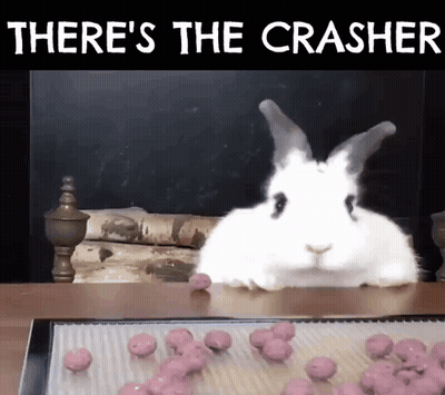 A White Rabbit Sitting On A Table With The Words There 'S The Crasher On The Bottom GIF