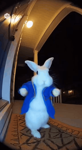 A White Rabbit Wearing A Blue Coat Is Standing On A Doorstep GIF