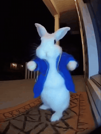 A White Rabbit Wearing A Blue Jacket Is Dancing GIF