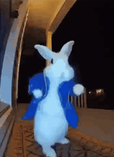 A White Rabbit Wearing A Blue Jacket Is Standing In Front Of A Door . GIF
