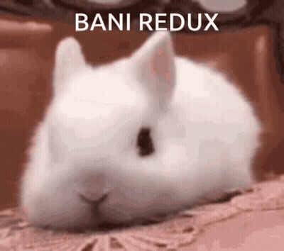 A White Rabbit With Bani Redux Written On The Bottom Right GIF