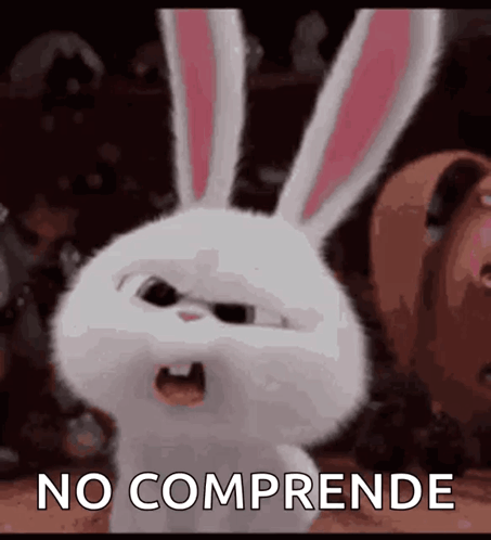 A White Rabbit With Pink Ears And The Words No Comprehende Behind It GIF