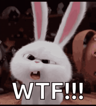 A White Rabbit With Pink Ears Is Screaming And Saying Wtf !!! GIF