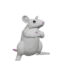 A White Rat With A Pink Tail Is Dancing Sticker