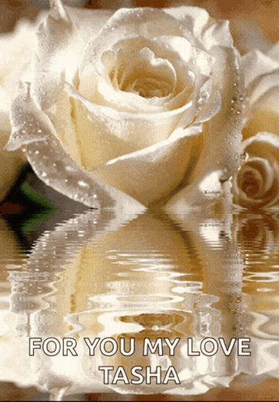 A White Rose Is Reflected In The Water With The Words " For You My Love Tasha " GIF