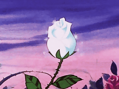 A White Rose With Green Leaves Against A Pink And Blue Sky GIF