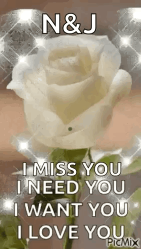 A White Rose With The Words `` I Miss You I Need You I Want You I Love You '' . GIF