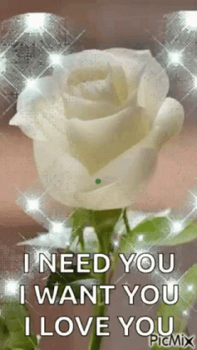 A White Rose With The Words `` I Need You I Want You I Love You '' . GIF