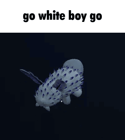 A White Sea Slug With Blue Spikes Is Swimming In The Water . GIF