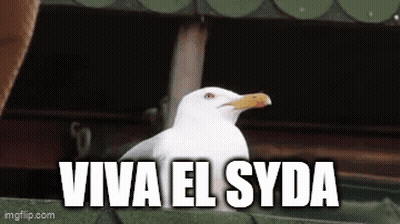 A White Seagull Is Sitting On A Green Roof With The Words Viva El Syda Written Below It . GIF