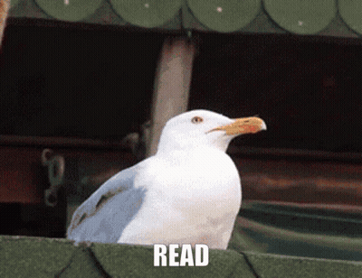 A White Seagull Sitting On A Green Roof With The Word Read Written Below It GIF