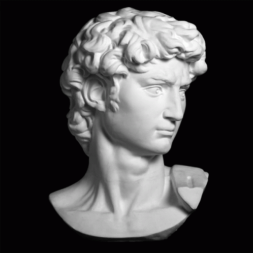 A White Statue Of A Man 'S Head With Curly Hair On A Black Background GIF