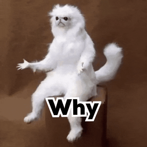 A White Stuffed Animal Is Sitting On A Box With The Word Why Written On It GIF