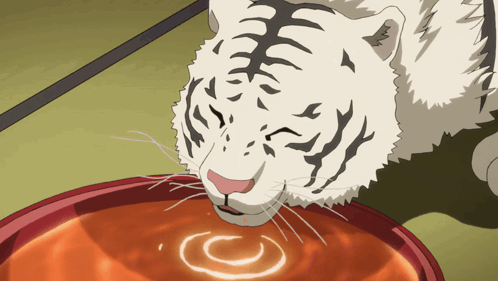 A White Tiger Drinks From A Red Bowl GIF