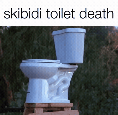 A White Toilet Sits On A Wooden Stool With The Words Skibidi Toilet Death Above It GIF