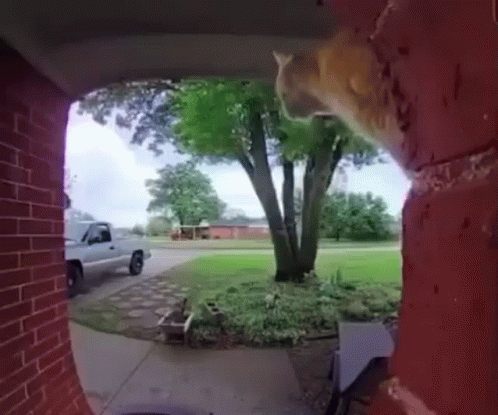 A White Truck Is Parked In Front Of A House GIF