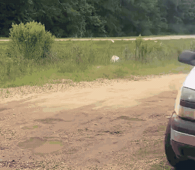 A White Truck Is Parked On A Dirt Road Near A Grassy Field GIF