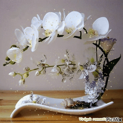 A White Vase Filled With White Flowers And Seashells Has A Watermark That Says Virigak Romantic Picmix On It GIF