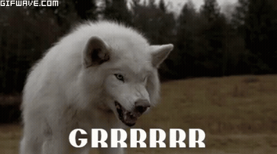 A White Wolf Is Standing In A Field With Its Mouth Open And The Word Grrrr Written On The Bottom . GIF