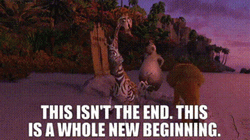 A Whole New World Alex The Lion Madagascar GIF