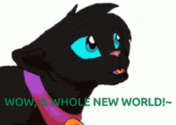 A Whole New World Black Warrior Cat GIF