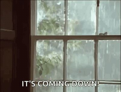 A Window With A Bird Flying Out Of It And The Words `` It 'S Coming Down '' . GIF