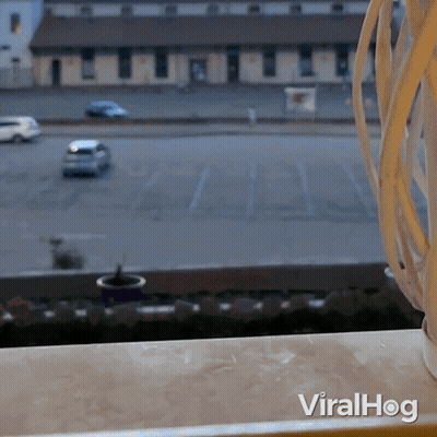A Window With A View Of A Parking Lot And The Words Viralhog On The Bottom GIF