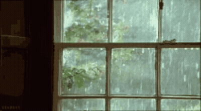 A Window With A View Of A Tree And Rain Coming Through It GIF