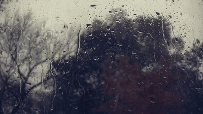 A Window With Rain Drops On It Looking Out To Trees GIF