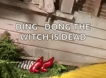A Witch Is Laying On The Ground In Front Of A Wooden Building . GIF