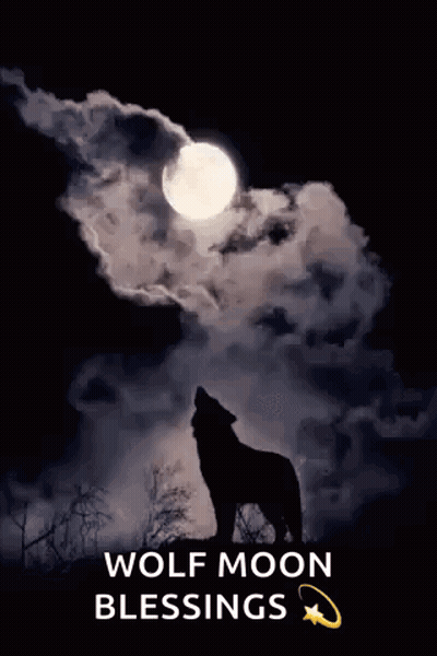 A Wolf Howling At The Full Moon With The Words Wolf Moon Blessings Below It GIF
