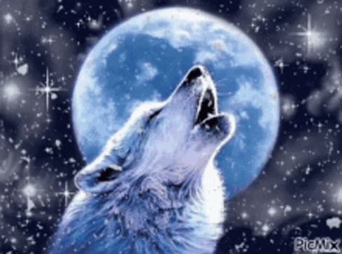 A Wolf Is Howling At The Full Moon In The Night Sky GIF