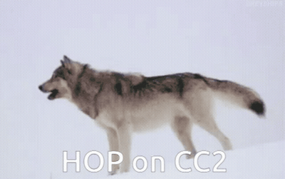 A Wolf Is Walking In The Snow With The Caption Hop On Cc2 GIF