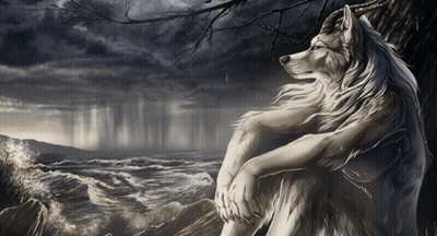 A Wolf Sitting On A Rock Looking Out Over The Ocean GIF