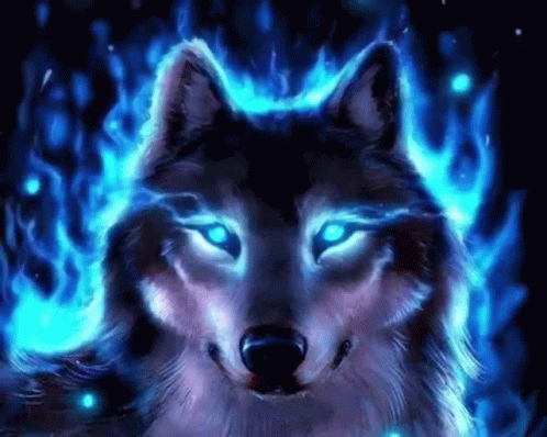A Wolf With Blue Eyes Is Surrounded By Blue Flames In A Dark Room . GIF