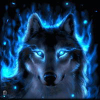 A Wolf With Blue Eyes Is Surrounded By Fire GIF