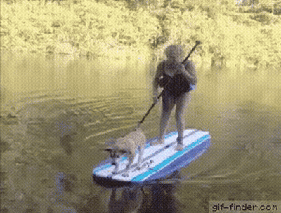 A Woman And A Dog On A Surfboard In The Water GIF