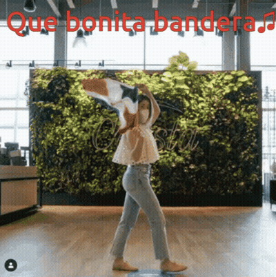 A Woman Dancing In Front Of A Green Wall With Que Bonita Bandera Written Above Her GIF