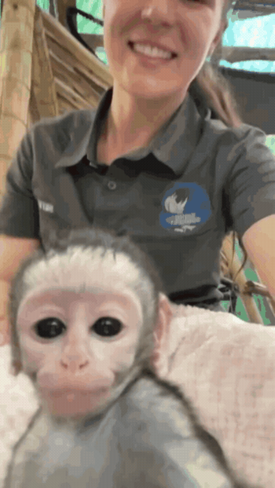 A Woman Holding A Baby Monkey With A Shirt That Says Rhino GIF