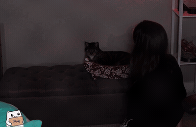 A Woman Holding A Black Cat With The Words Caught Me A Kitty Behind Her GIF