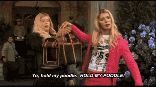 A Woman Holding A Dog Carrier With The Words Hold My Poodle On The Bottom GIF