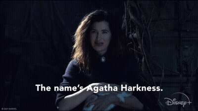 A Woman Holding A Rabbit With The Name 'S Agatha Harkness GIF