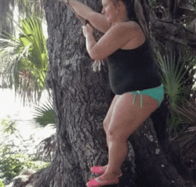 A Woman In A Bikini Is Climbing A Tree In The Woods . GIF