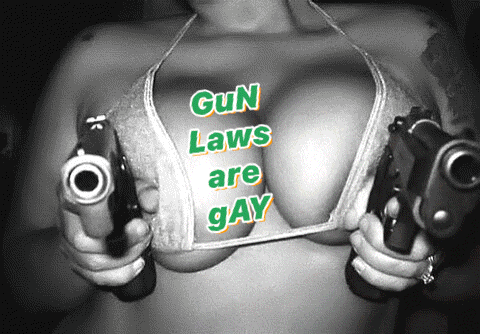 A Woman In A Bikini Is Holding Two Guns With The Words Gun Laws Are Gay Above Her Breasts GIF