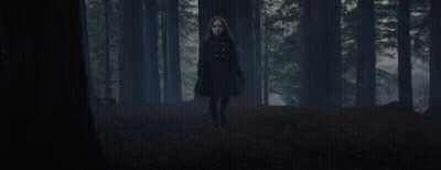 A Woman In A Black Coat Is Walking Through A Forest GIF