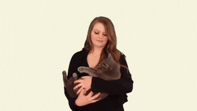 A Woman In A Black Sweater Is Holding A Gray Cat In Her Arms . GIF