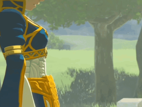 A Woman In A Blue And Gold Outfit Is Standing In A Field With Trees In The Background GIF